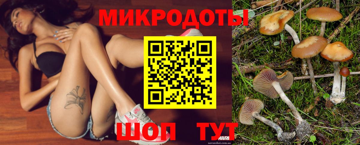 Галлюциногенные грибы мицелий Ипатово