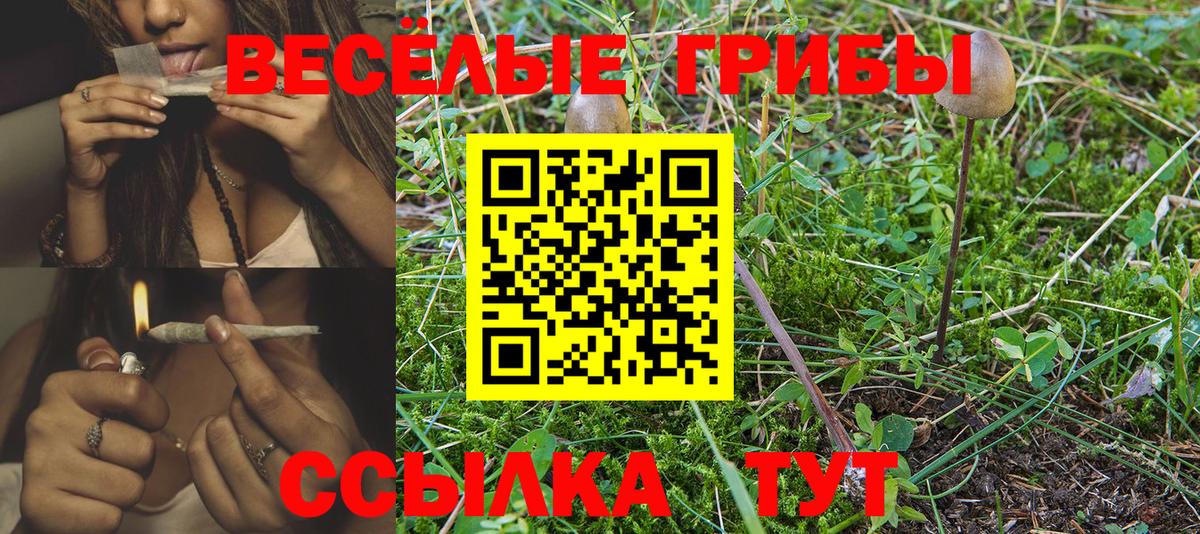 Ипатово  Псилоцибиновые грибы Cubensis  Вход с VPN  Галлюциногенные грибы ЛСД 